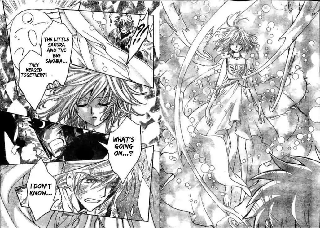 Tsubasa: Reservoir Chronicle 215