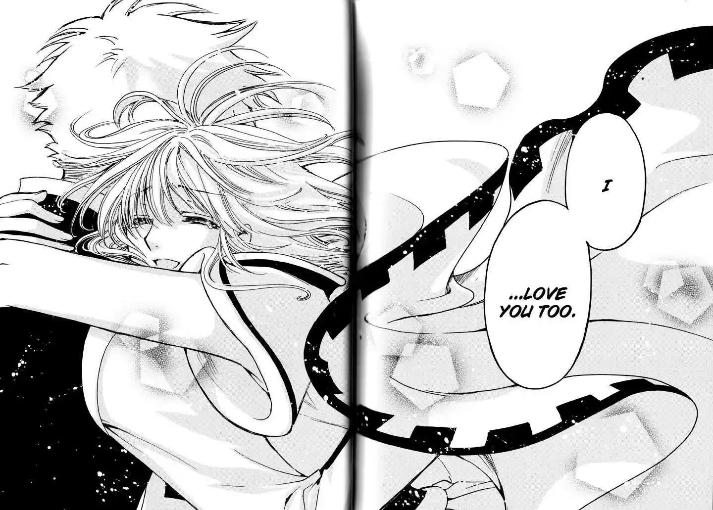 Tsubasa: Reservoir Chronicle 233