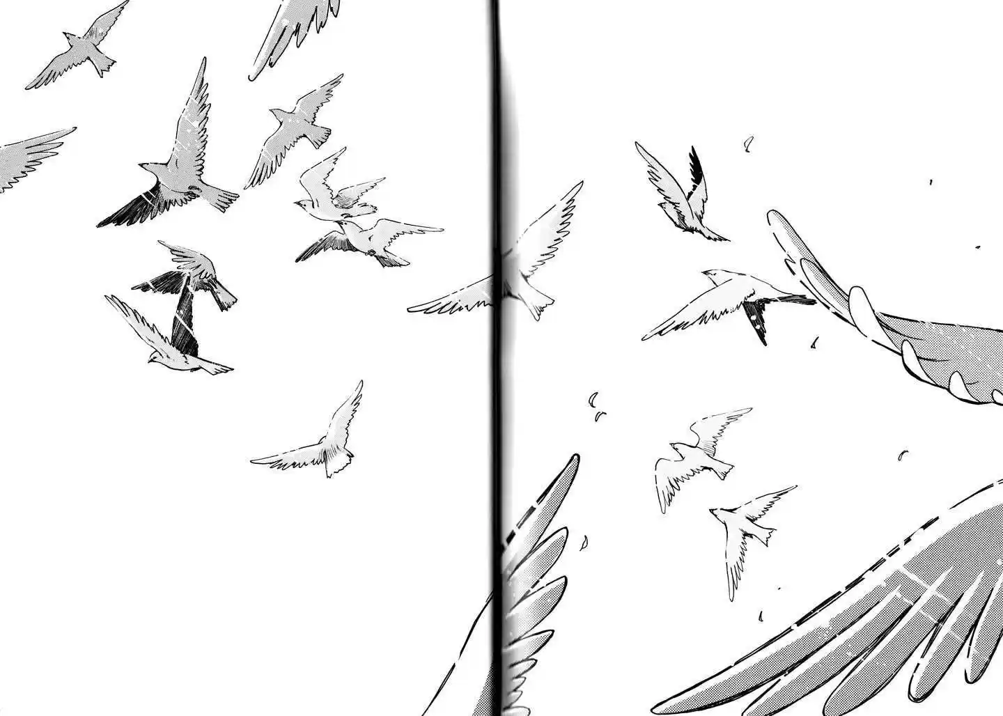 Tsubasa: Reservoir Chronicle 233