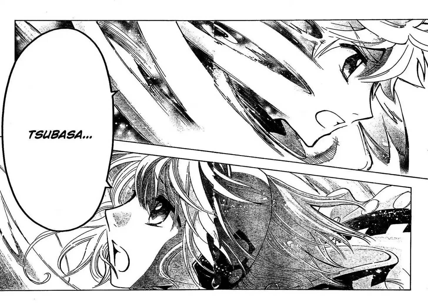 Tsubasa: Reservoir Chronicle 233