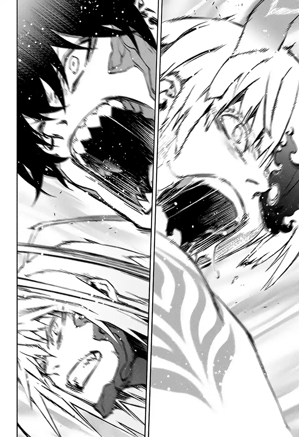 Twin Star Exorcists 71