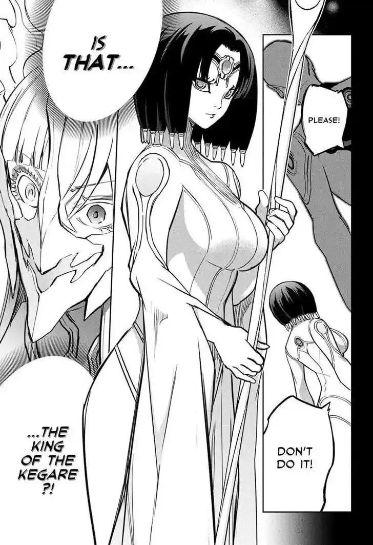 Twin Star Exorcists Vol.16 Ch.132