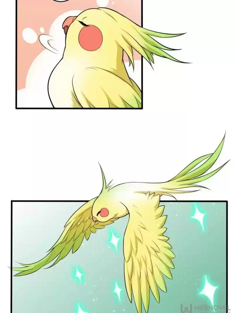 Unscrupuous Consort: The Evil Dotor Chapter 69