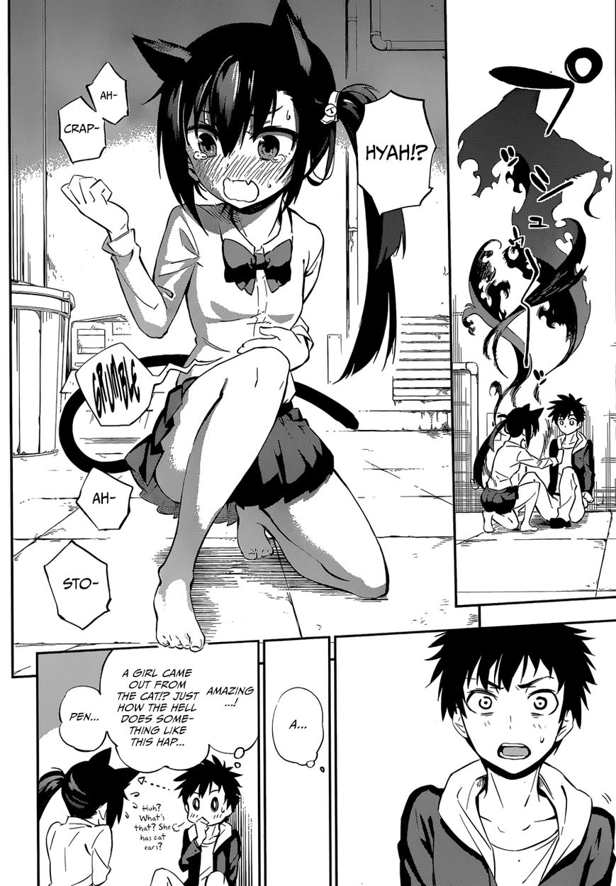 Urami Koi, Koi, Urami Koi. 0