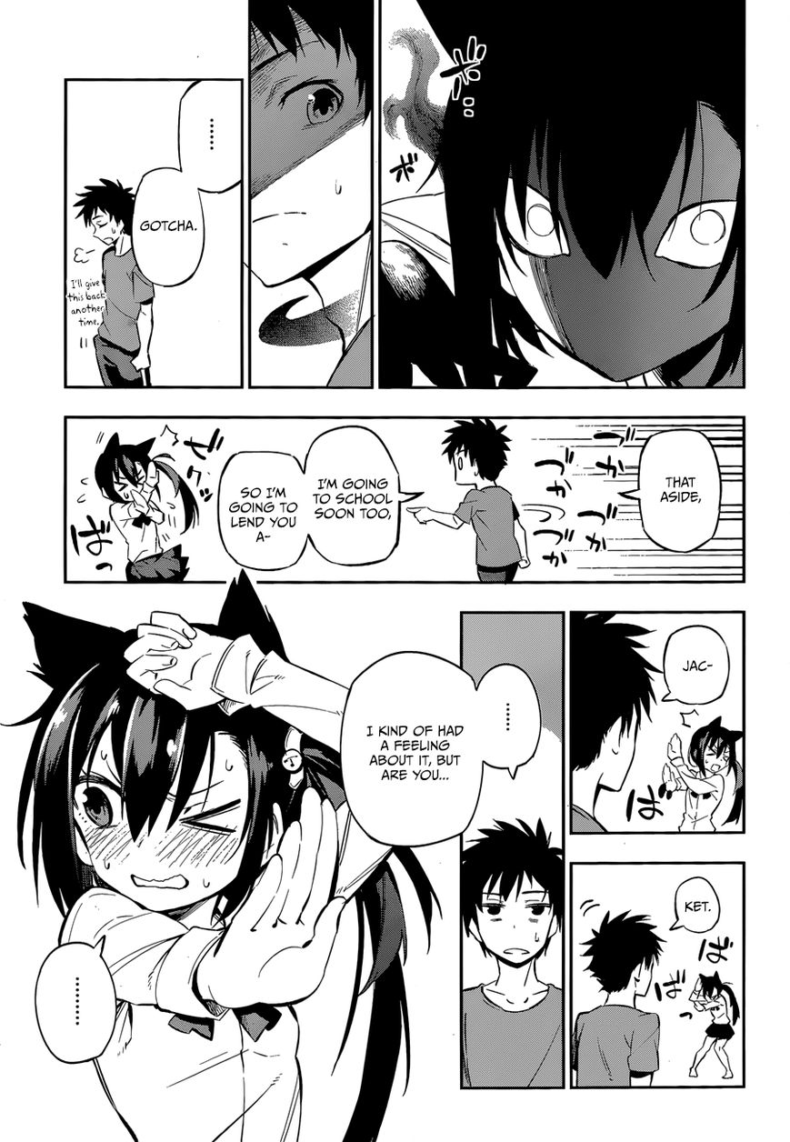 Urami Koi, Koi, Urami Koi. 0