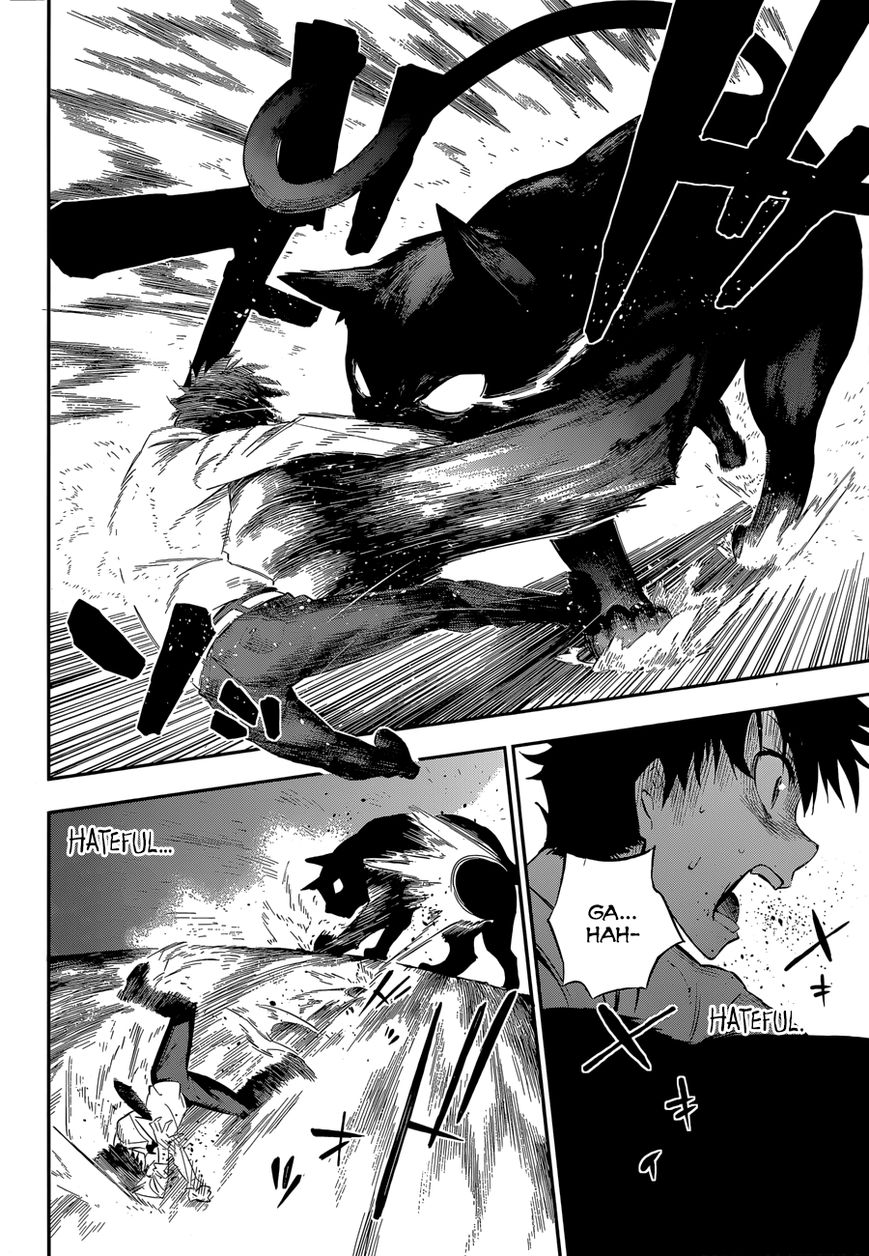 Urami Koi, Koi, Urami Koi. 0