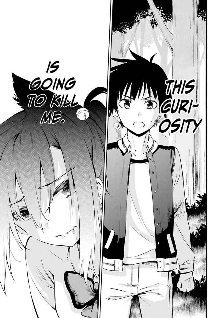 Urami Koi, Koi, Urami Koi. 1