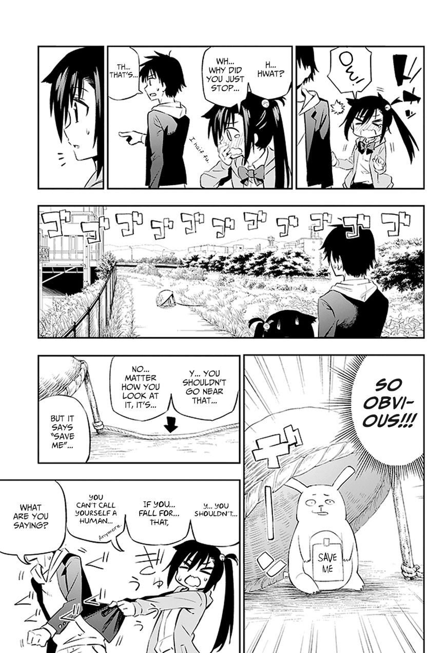 Urami Koi, Koi, Urami Koi. 2