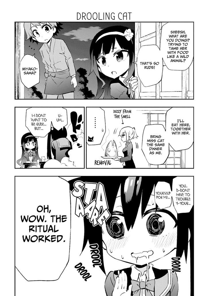 Urami Koi, Koi, Urami Koi. 20