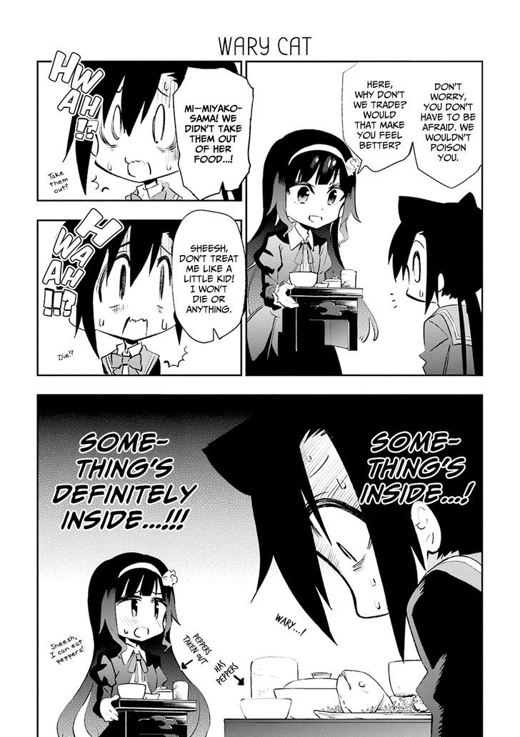 Urami Koi, Koi, Urami Koi. 20