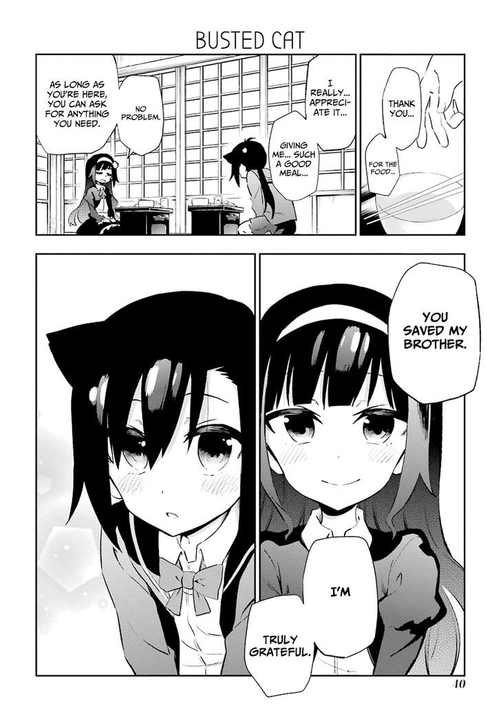 Urami Koi, Koi, Urami Koi. 20