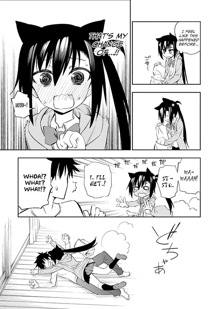 Urami Koi, Koi, Urami Koi. 3