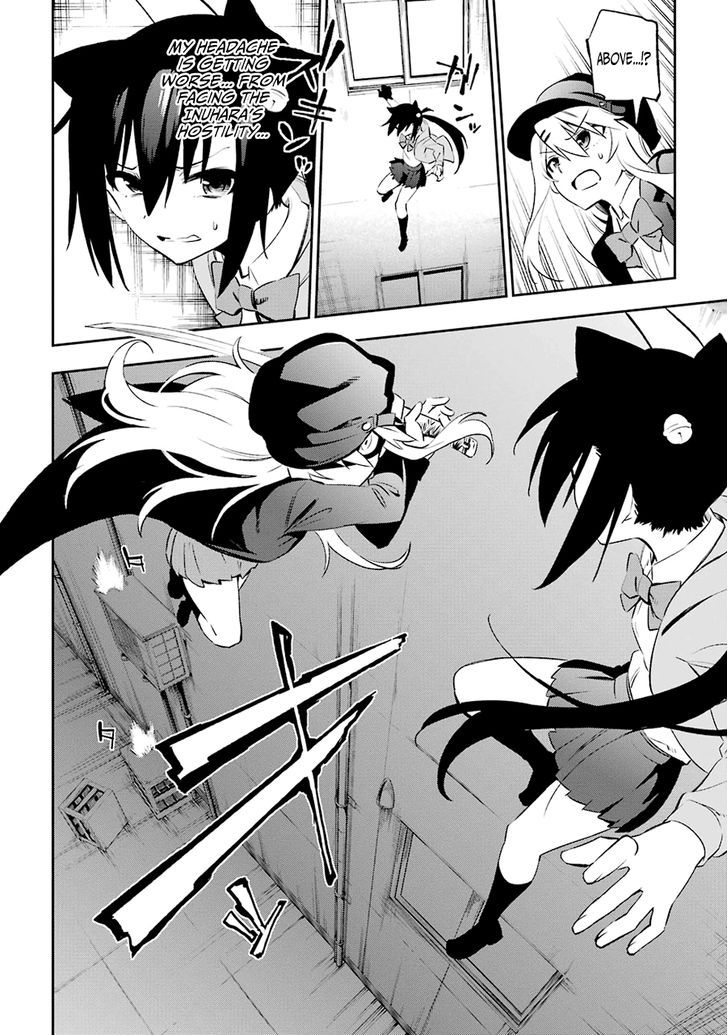 Urami Koi, Koi, Urami Koi. 6