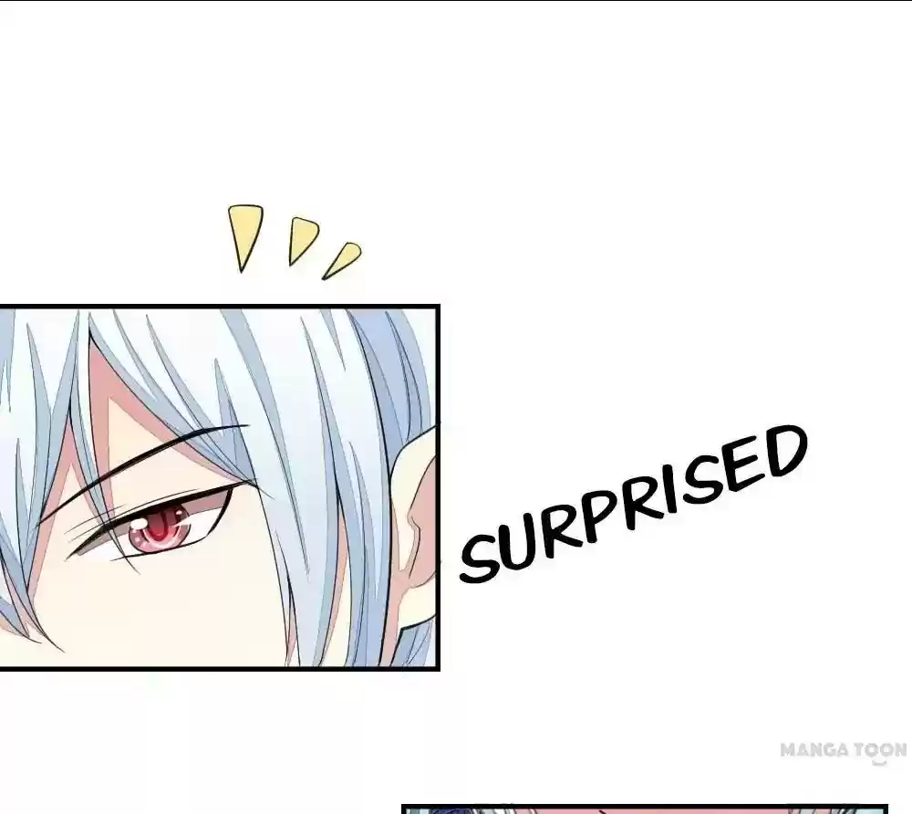 Vampire Adonis Chapter 104