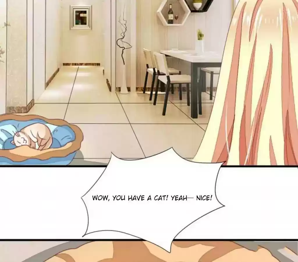 Vampire Adonis Chapter 16