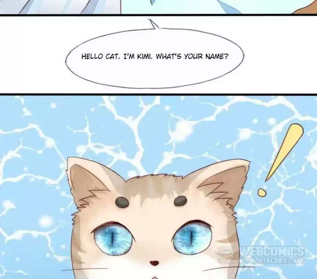 Vampire Adonis Chapter 16