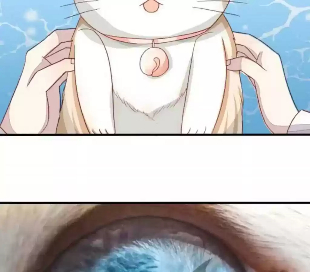 Vampire Adonis Chapter 16