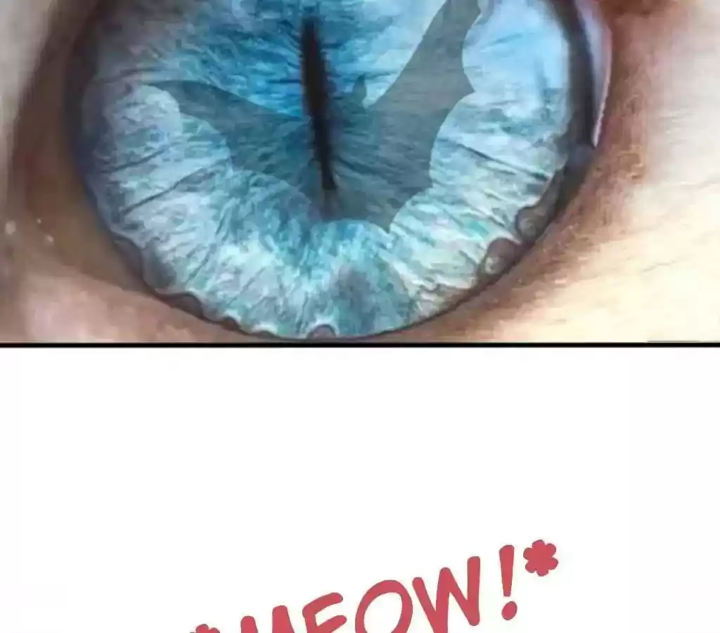 Vampire Adonis Chapter 16