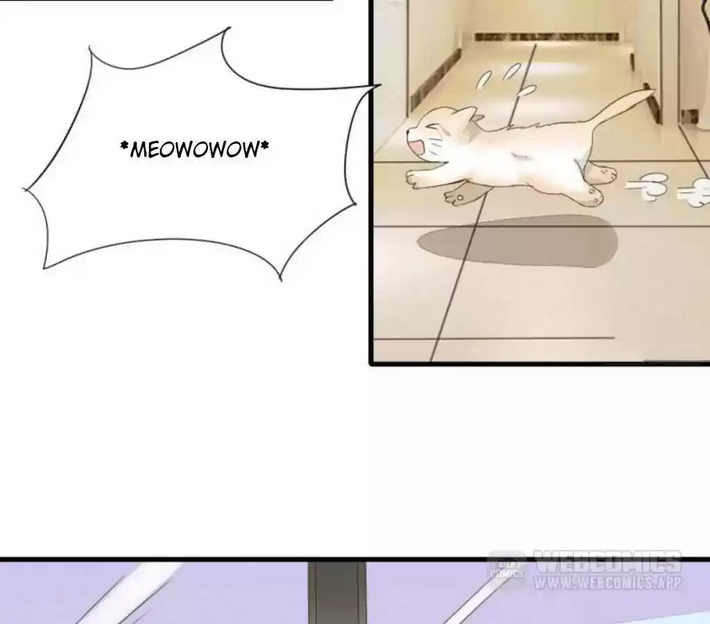 Vampire Adonis Chapter 17