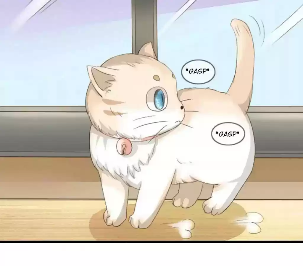 Vampire Adonis Chapter 17