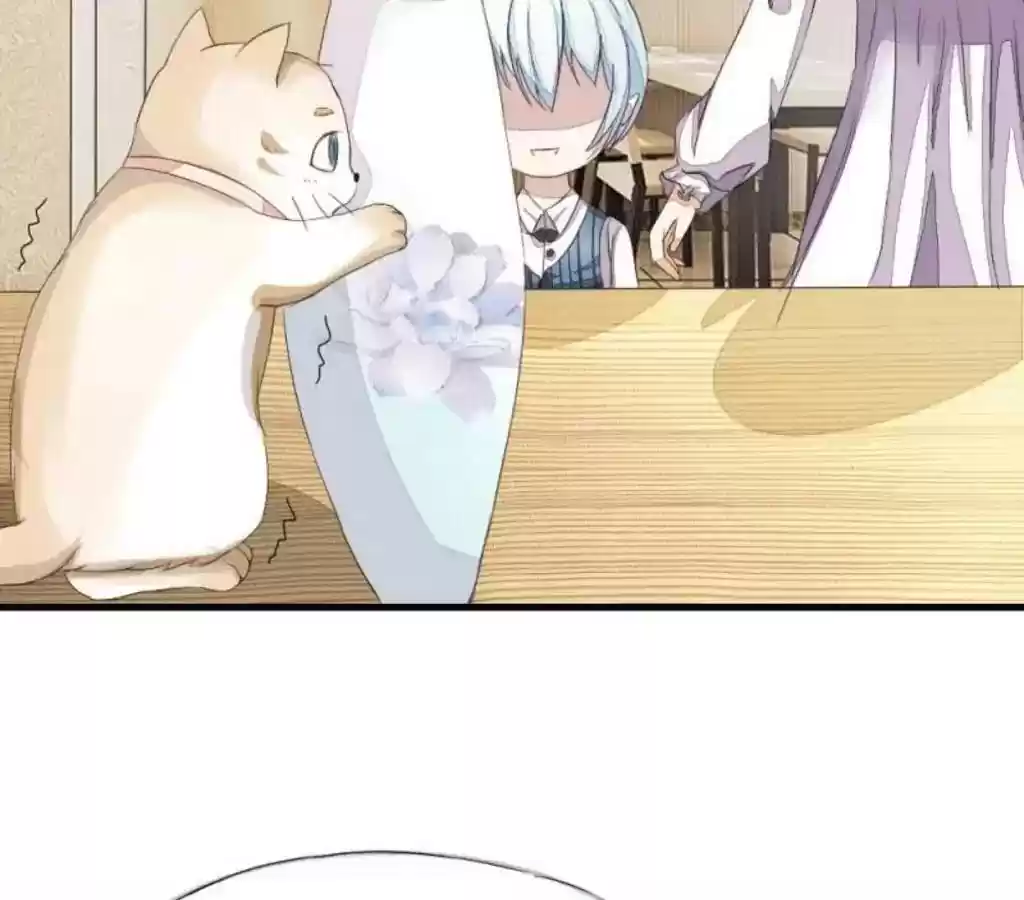 Vampire Adonis Chapter 17