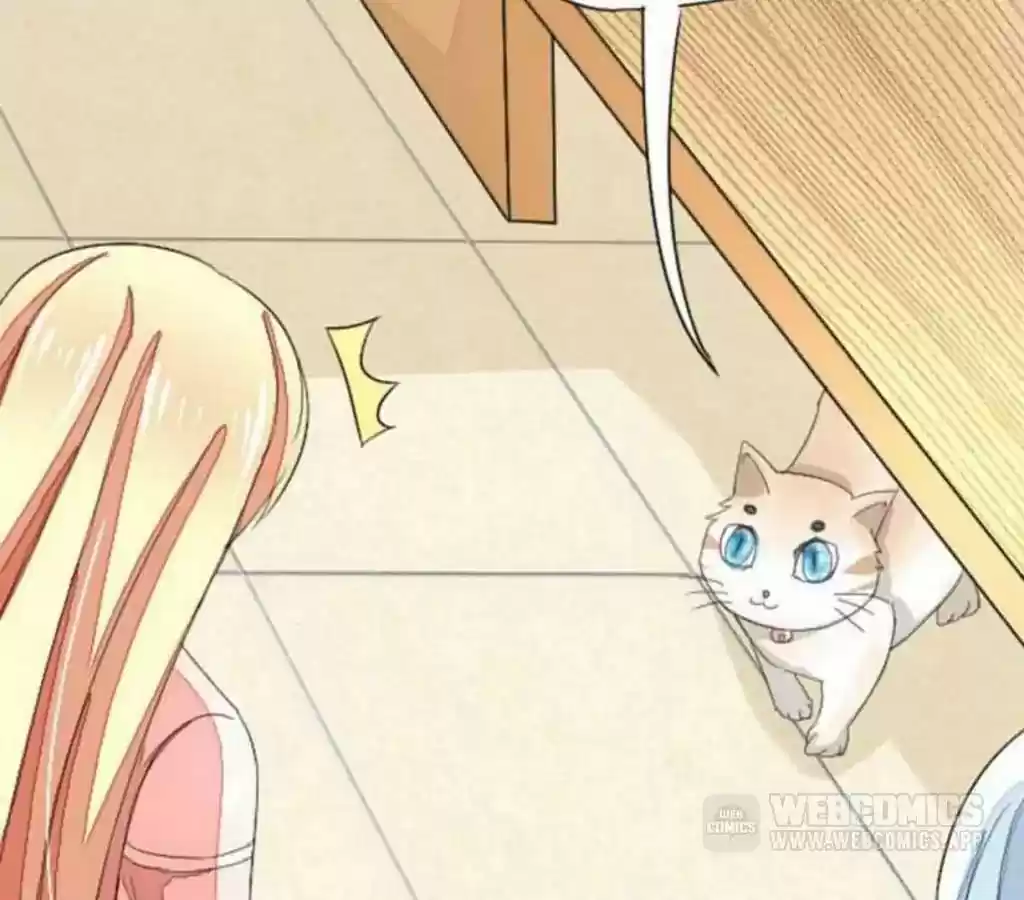 Vampire Adonis Chapter 19