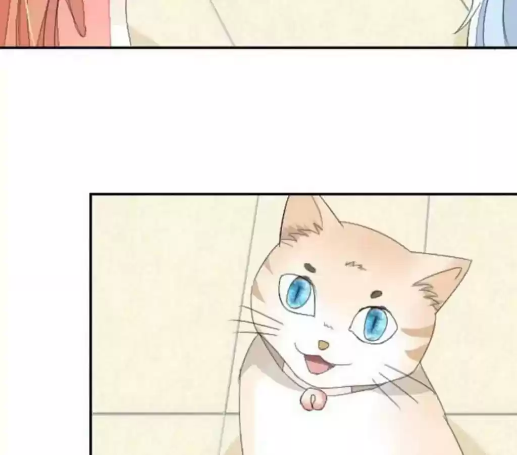 Vampire Adonis Chapter 19