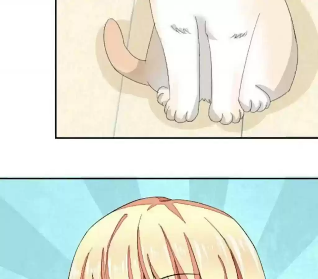 Vampire Adonis Chapter 19