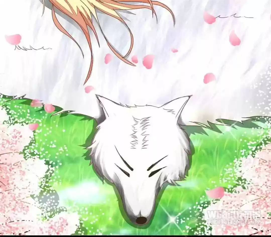 Vampire Adonis Chapter 2