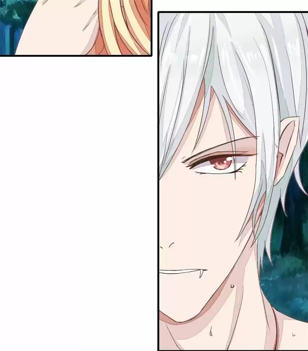 Vampire Adonis Chapter 2