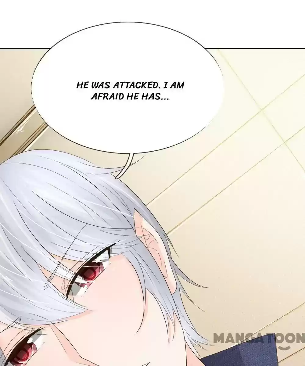 Vampire Adonis Chapter 202