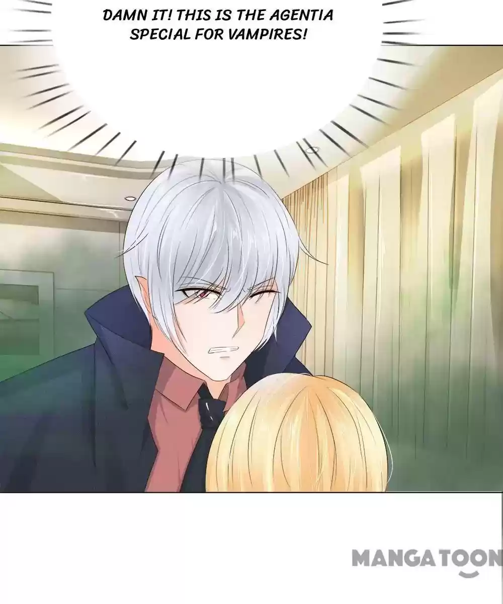 Vampire Adonis Chapter 202