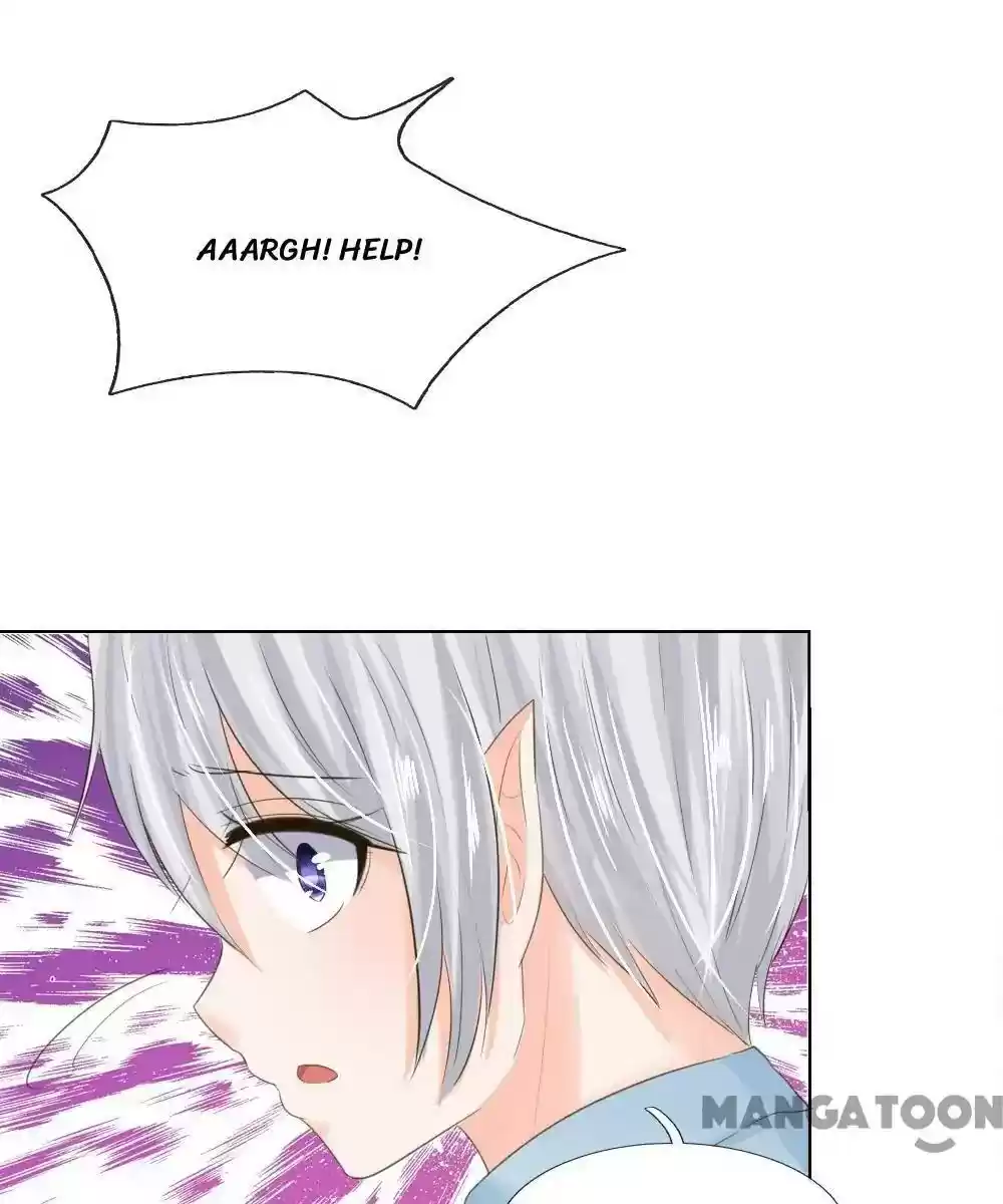 Vampire Adonis Chapter 203