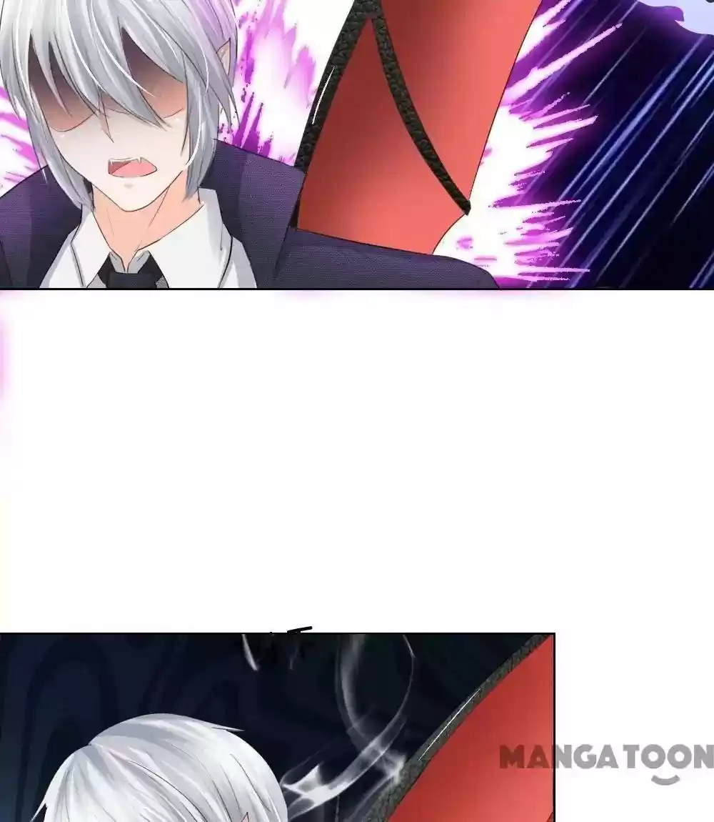 Vampire Adonis Chapter 204