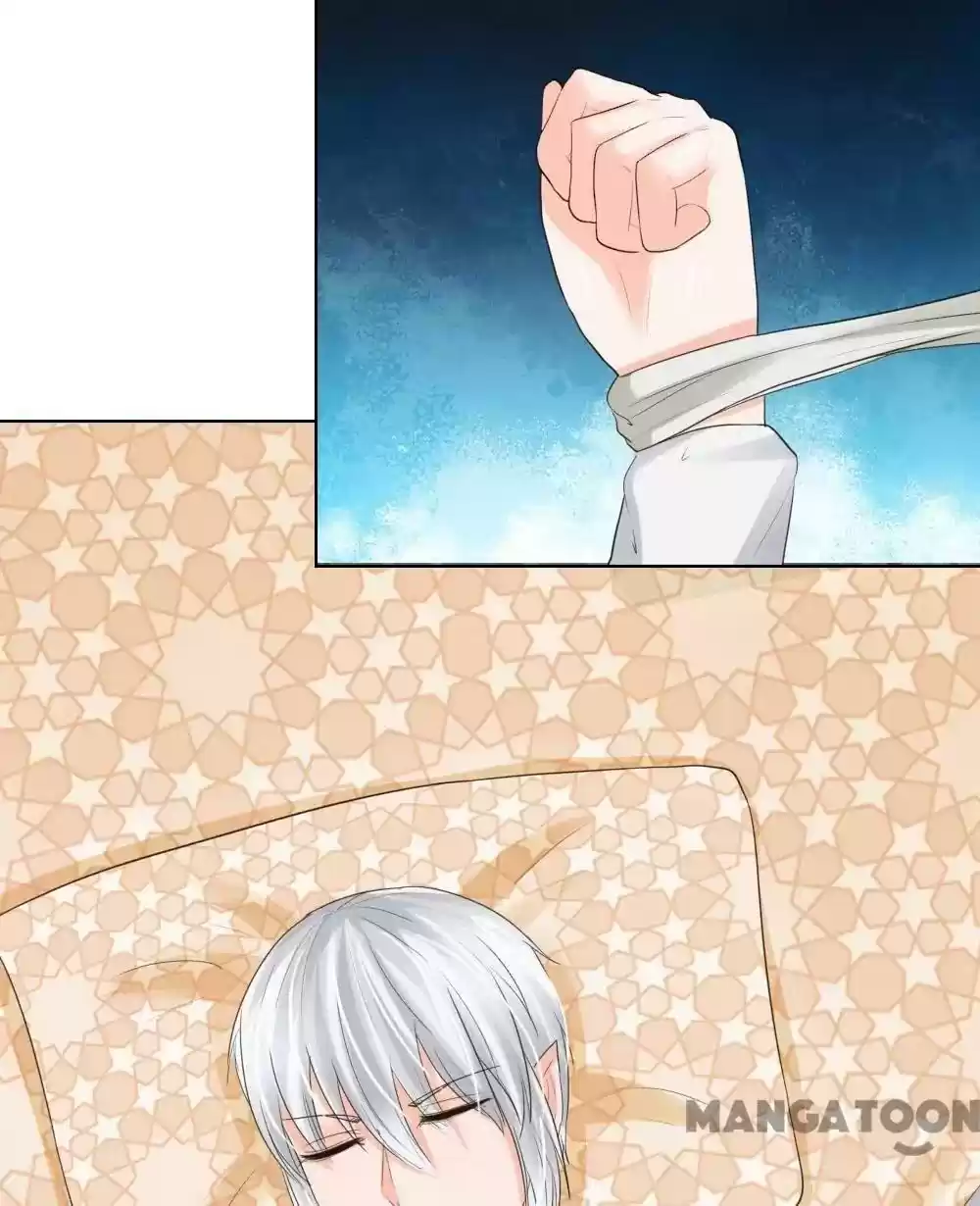 Vampire Adonis Chapter 204