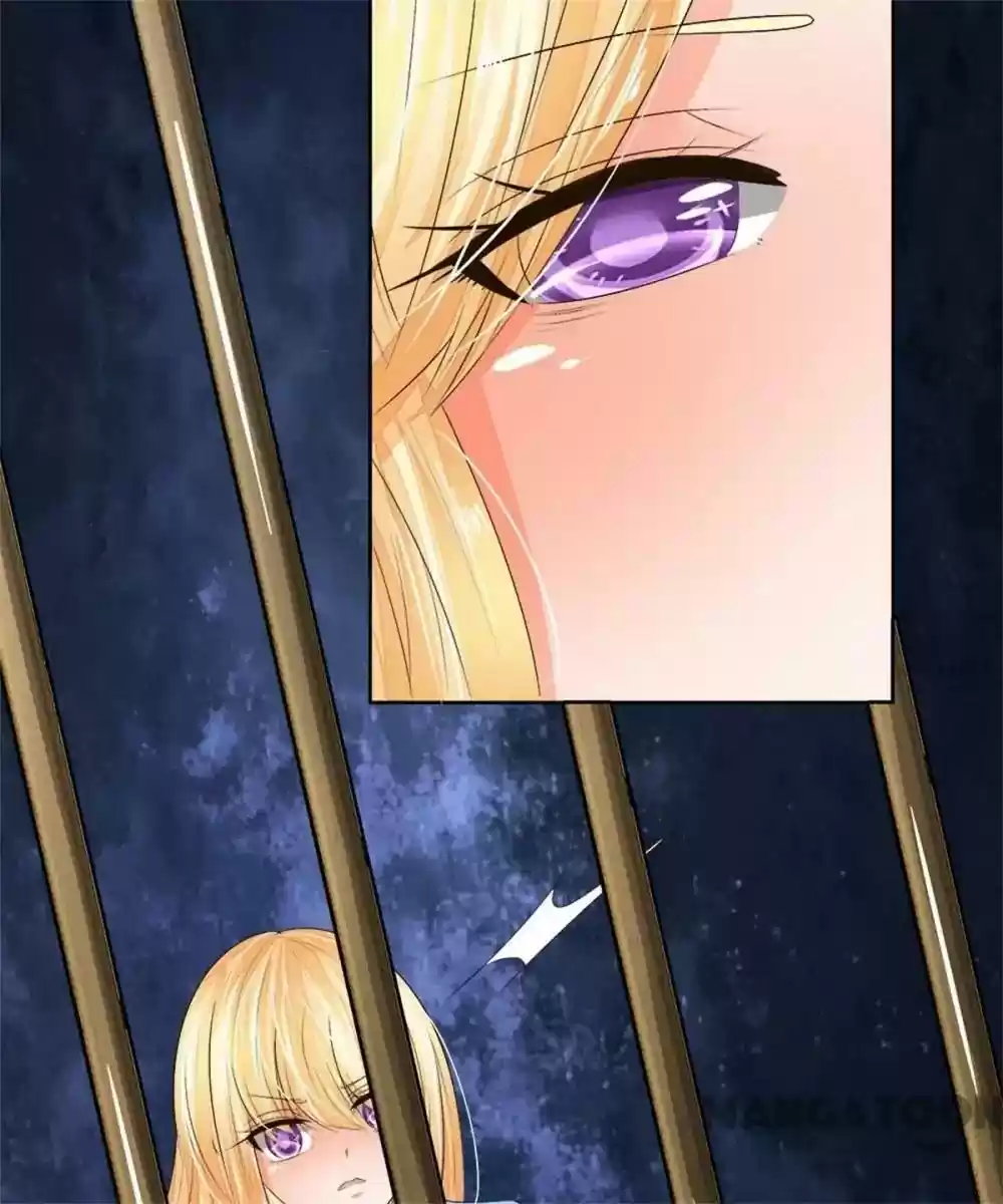 Vampire Adonis Chapter 205