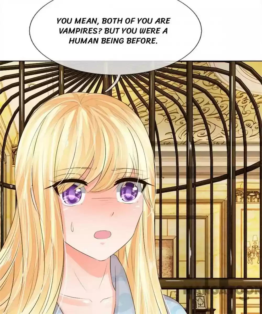 Vampire Adonis Chapter 205