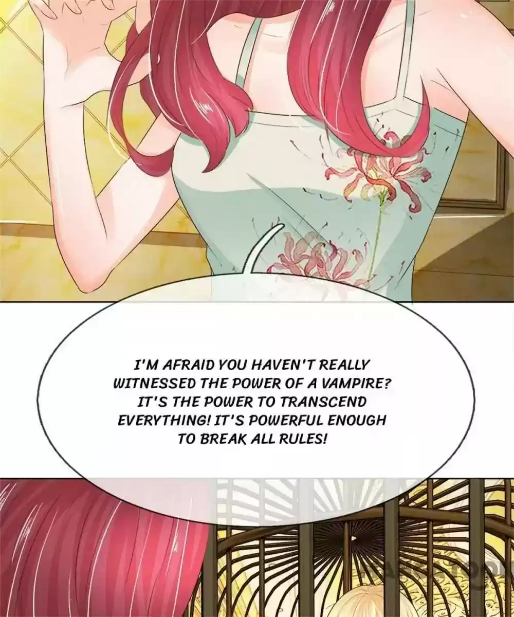 Vampire Adonis Chapter 205