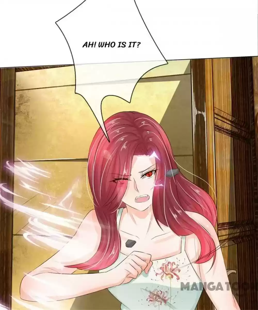 Vampire Adonis Chapter 205