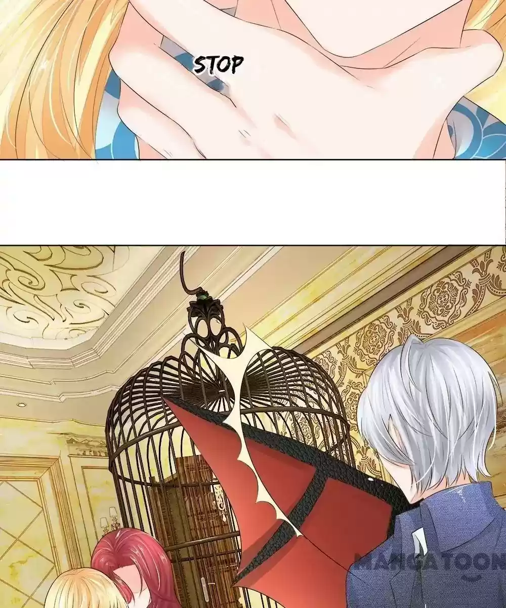 Vampire Adonis Chapter 207