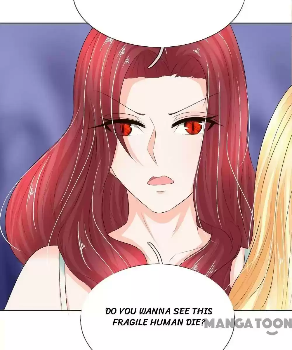 Vampire Adonis Chapter 207