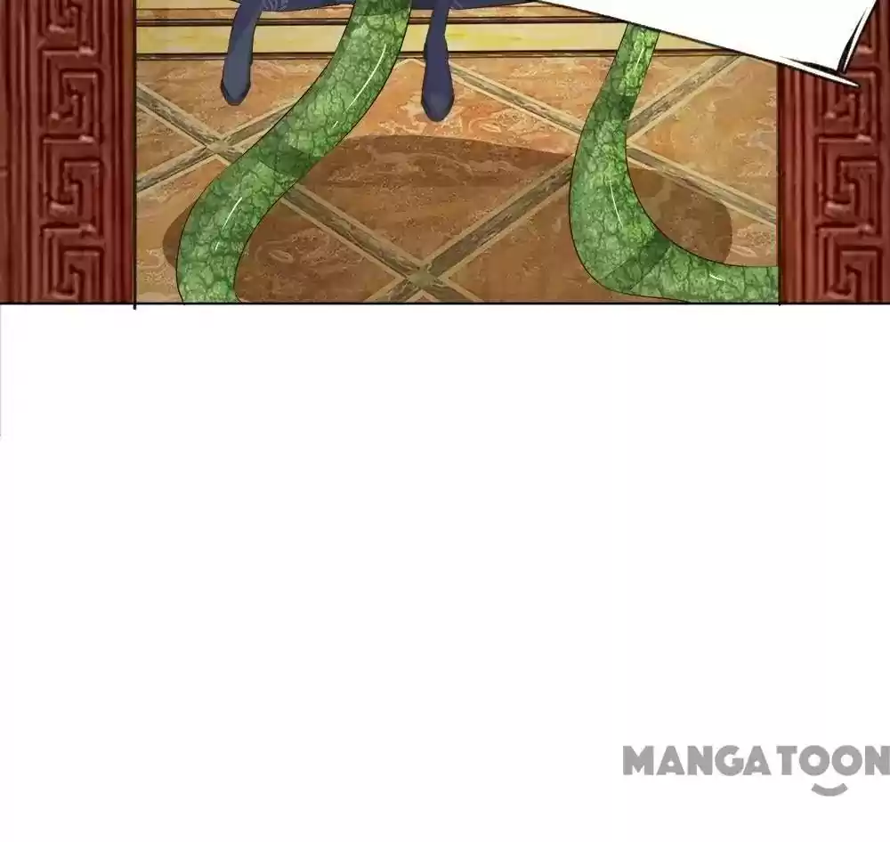 Vampire Adonis Chapter 208