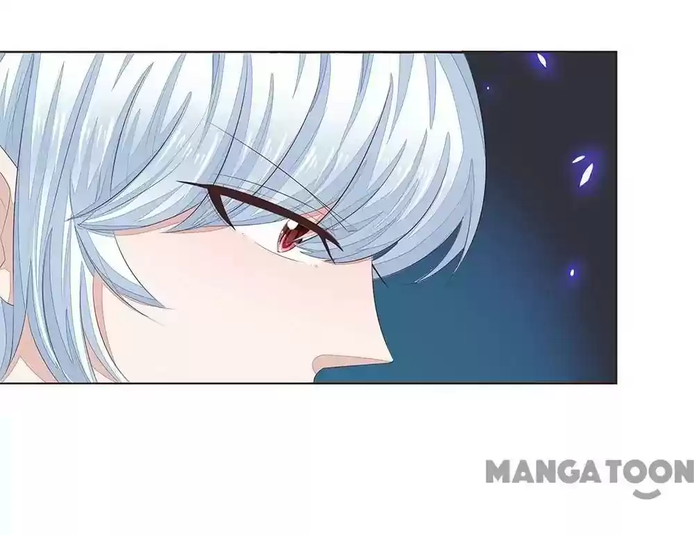 Vampire Adonis Chapter 209