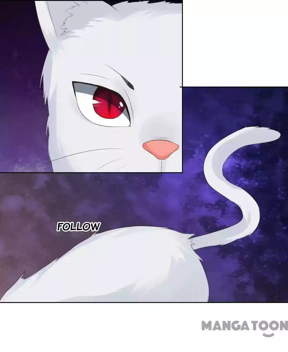 Vampire Adonis Chapter 214