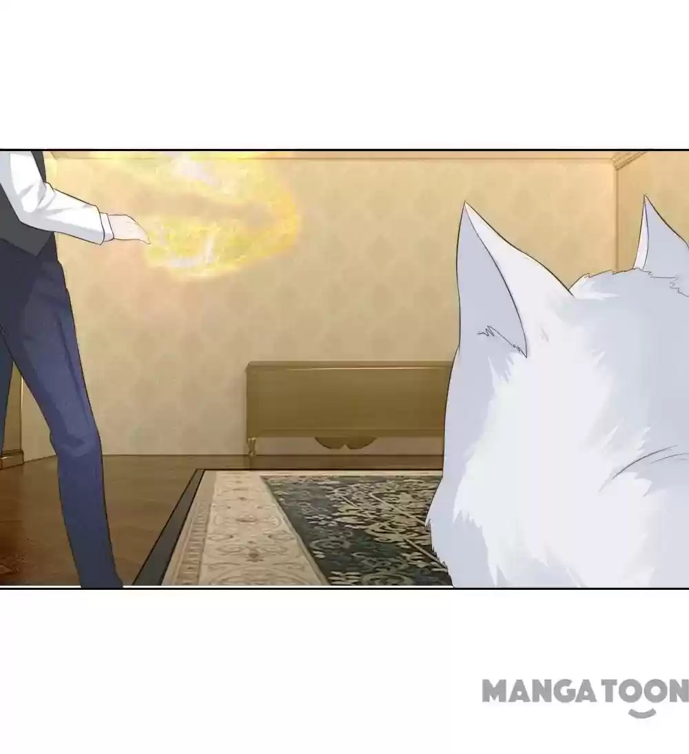 Vampire Adonis Chapter 215