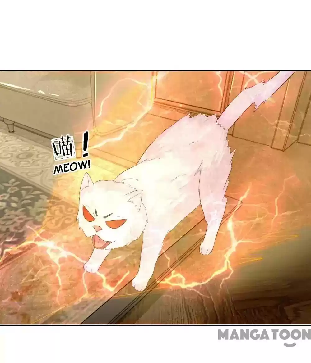 Vampire Adonis Chapter 215