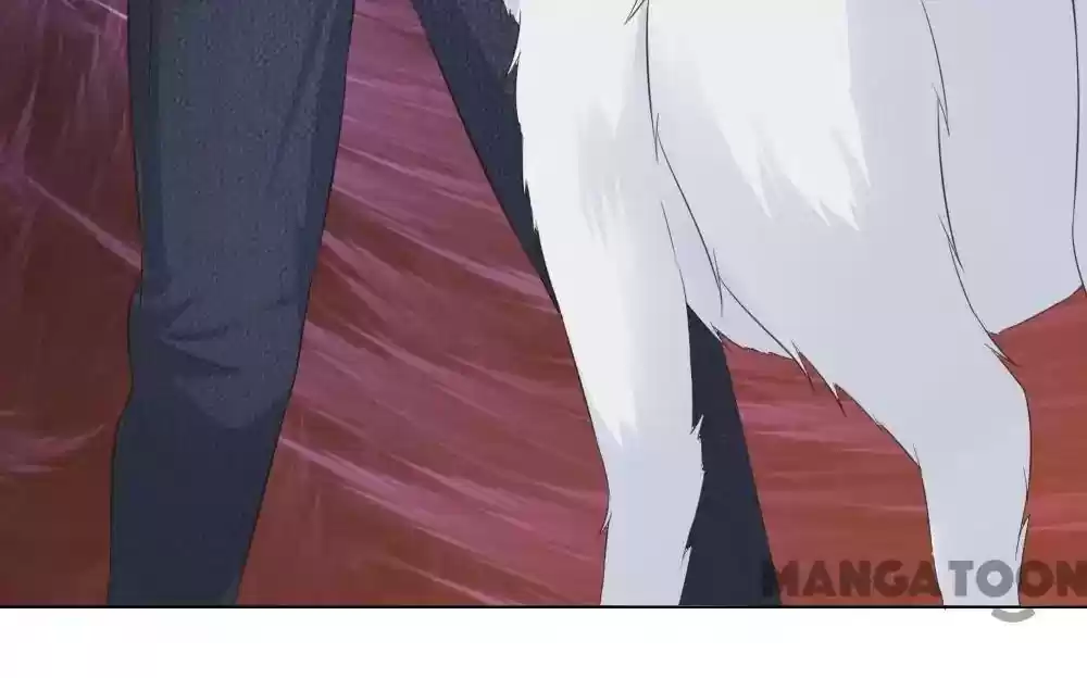 Vampire Adonis Chapter 215