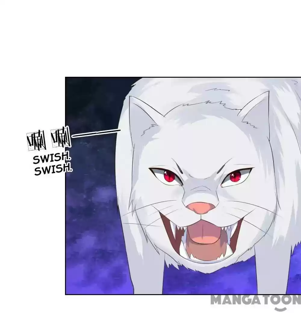 Vampire Adonis Chapter 215