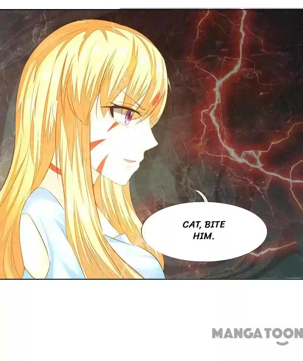 Vampire Adonis Chapter 215