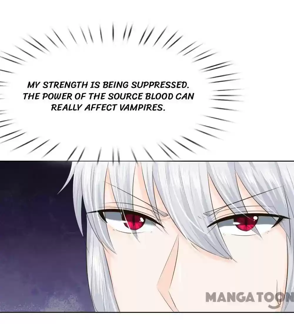 Vampire Adonis Chapter 215